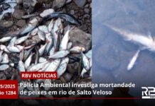 RBV Notícias Videira – 05/05/2025 – Edição 1284