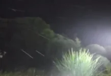 Urupema registra a primeira neve de 2025 em Santa Catarina