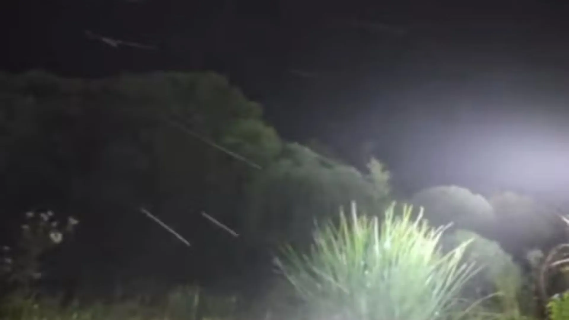 Urupema registra a primeira neve de 2025 em Santa Catarina