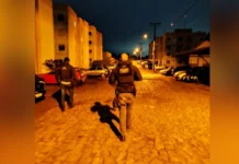 Polícia Civil deflagra operação contra associação criminosa em Caçador