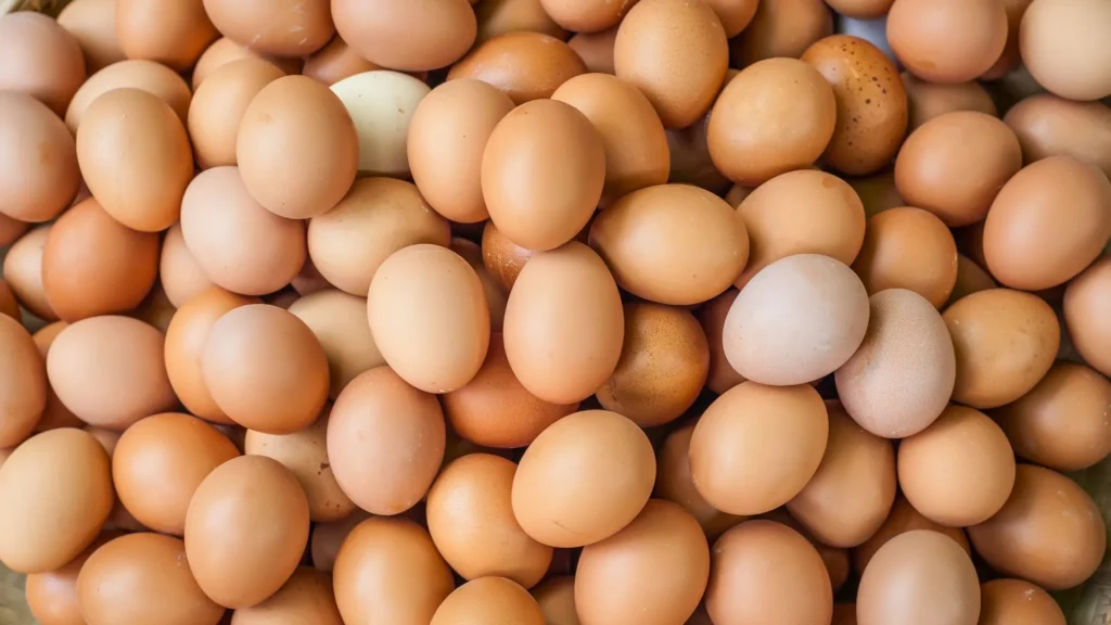 Brasil exporta 4,3 mil toneladas de ovos em abril