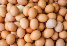 Brasil exporta 4,3 mil toneladas de ovos em abril