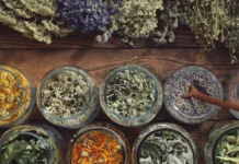 Epagri Videira promove Oficina Regional de Plantas Bioativas