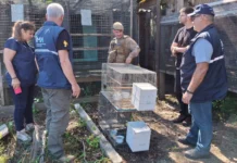 Fiscalização ambiental retira mais de 230 animais silvestres de cativeiro em SC