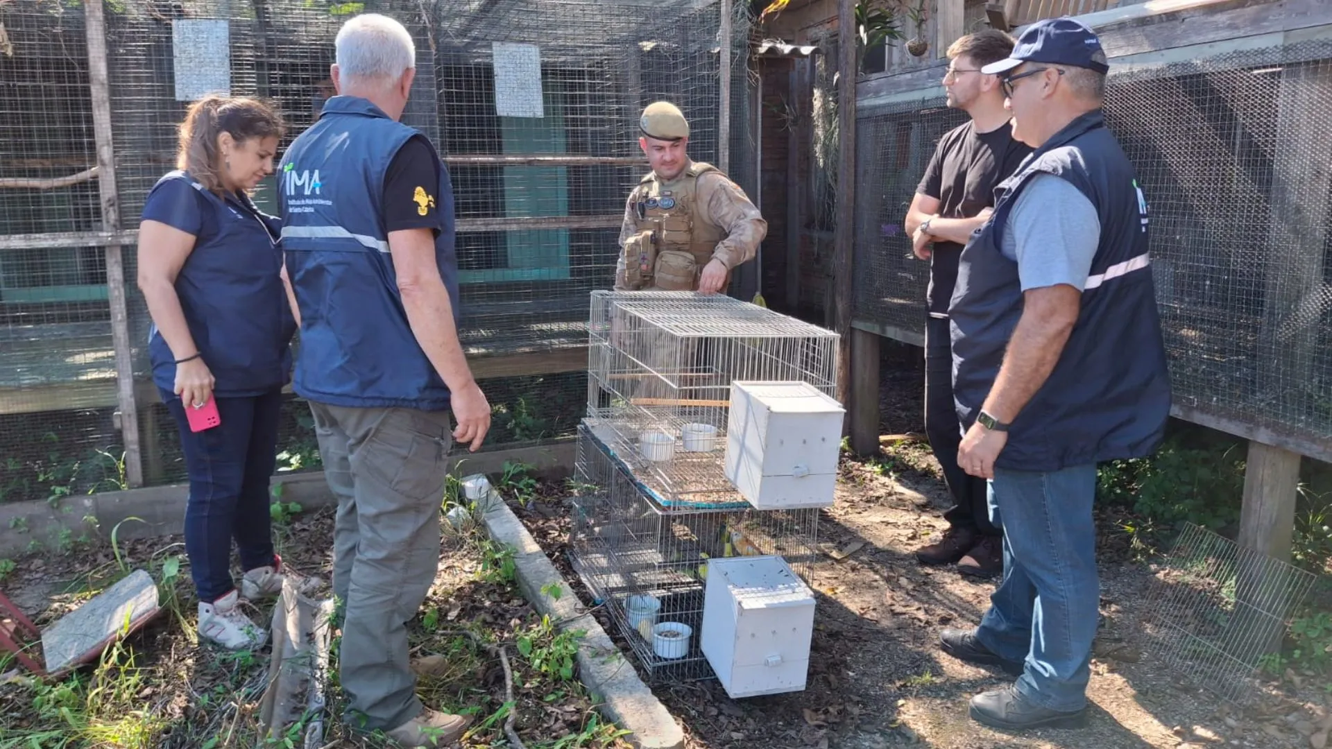 Fiscalização ambiental retira mais de 230 animais silvestres de cativeiro em SC