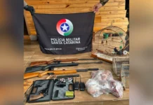 Caça ilegal no Meio-Oeste: PMA apreende armas, carne e aves silvestres