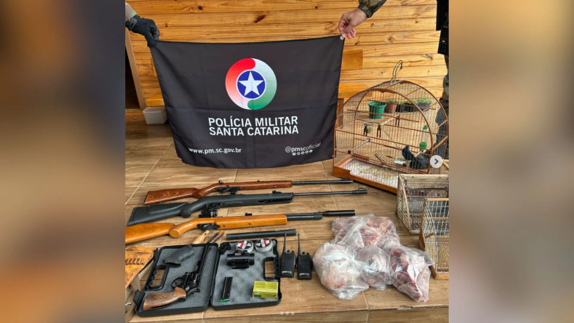 Caça ilegal no Meio-Oeste: PMA apreende armas, carne e aves silvestres