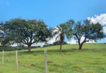 Quarta-feira segue com tempo firme e frio restrito ao Planalto Sul