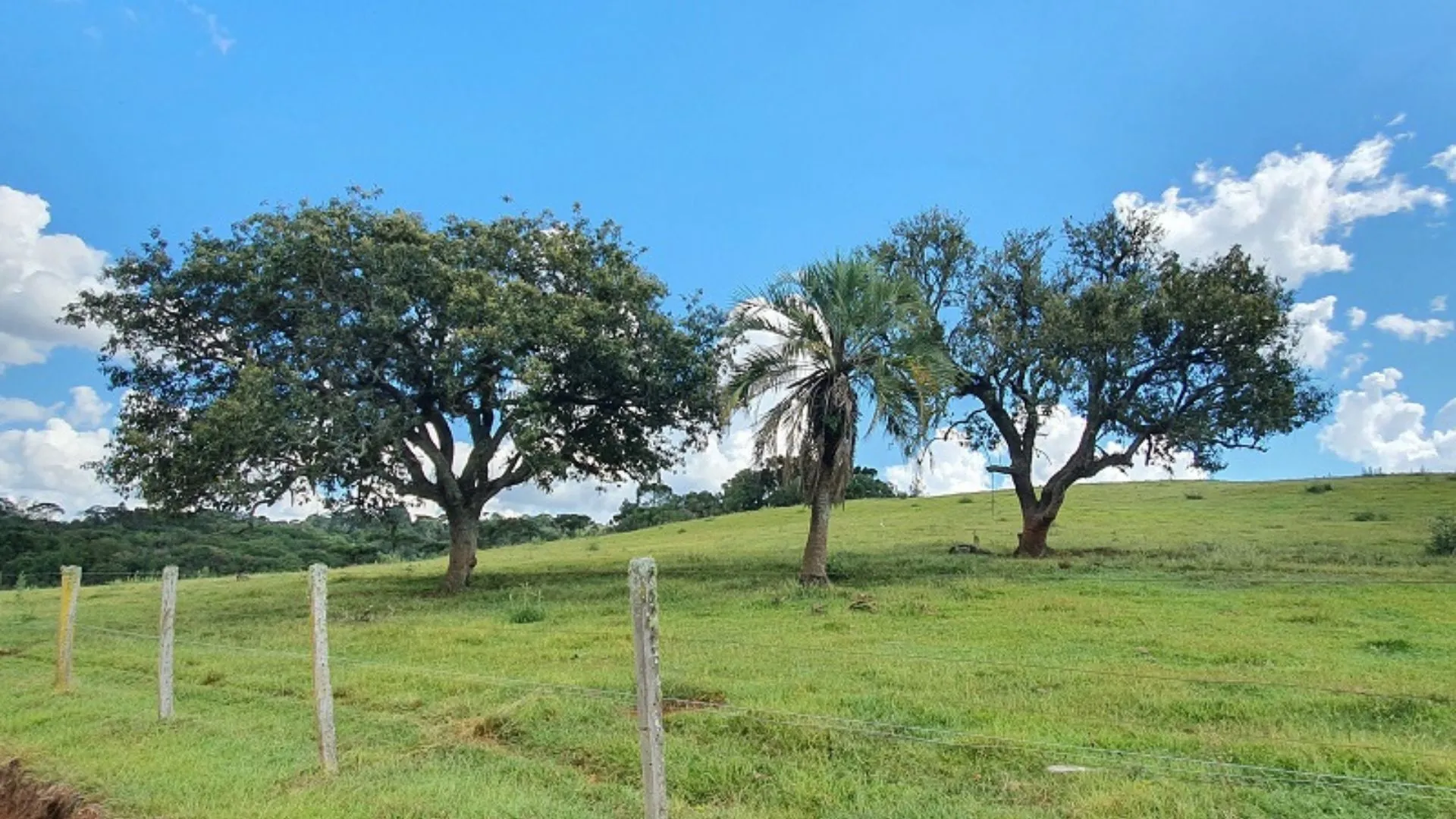 Quarta-feira segue com tempo firme e frio restrito ao Planalto Sul