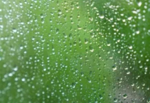 Quinta-feira terá chuva rápida em Santa Catarina e frio nos planaltos