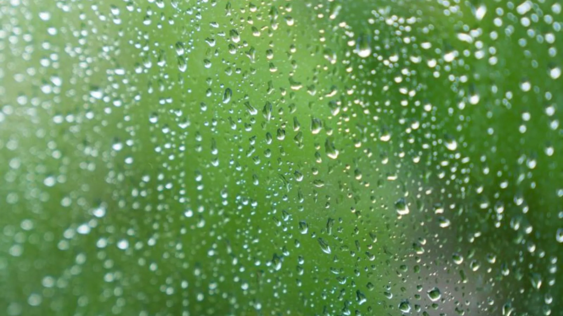 Quinta-feira terá chuva rápida em Santa Catarina e frio nos planaltos