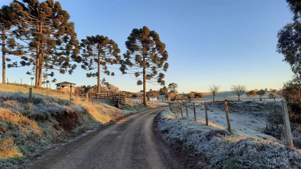 Vem frio por aí! Nova frente gélida avança pelo Brasil