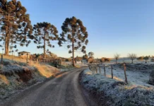 Vem frio por aí! Nova frente gélida avança pelo Brasil