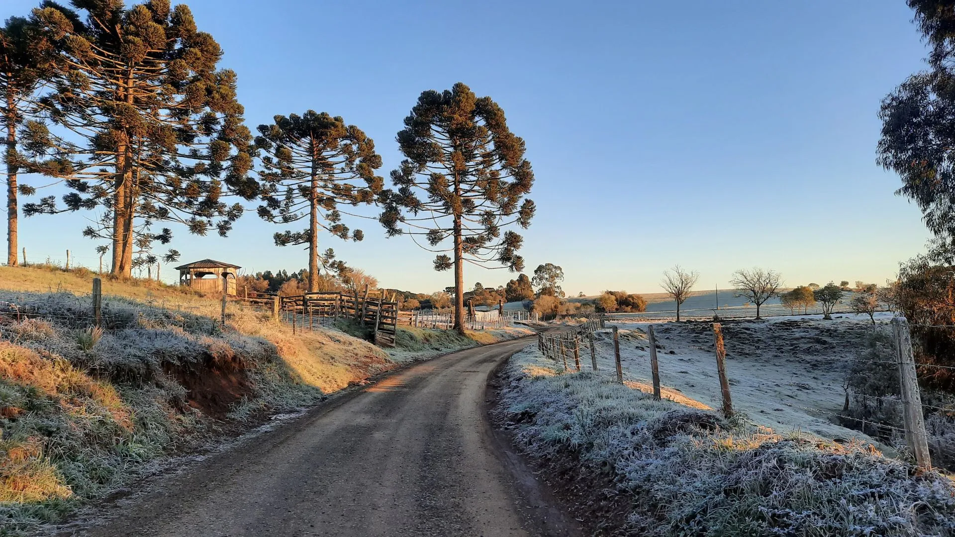 Vem frio por aí! Nova frente gélida avança pelo Brasil