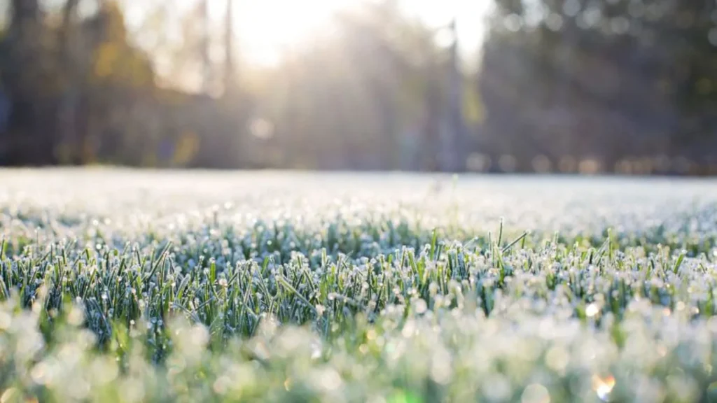 Segunda-feira será de frio intenso e geada no Meio-Oeste