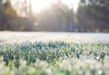 Segunda-feira será de frio intenso e geada no Meio-Oeste Segunda-feira será de frio intenso e geada no Meio-Oeste