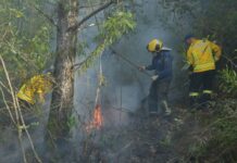 Tempo seco gera preocupação com incêndios em vegetação