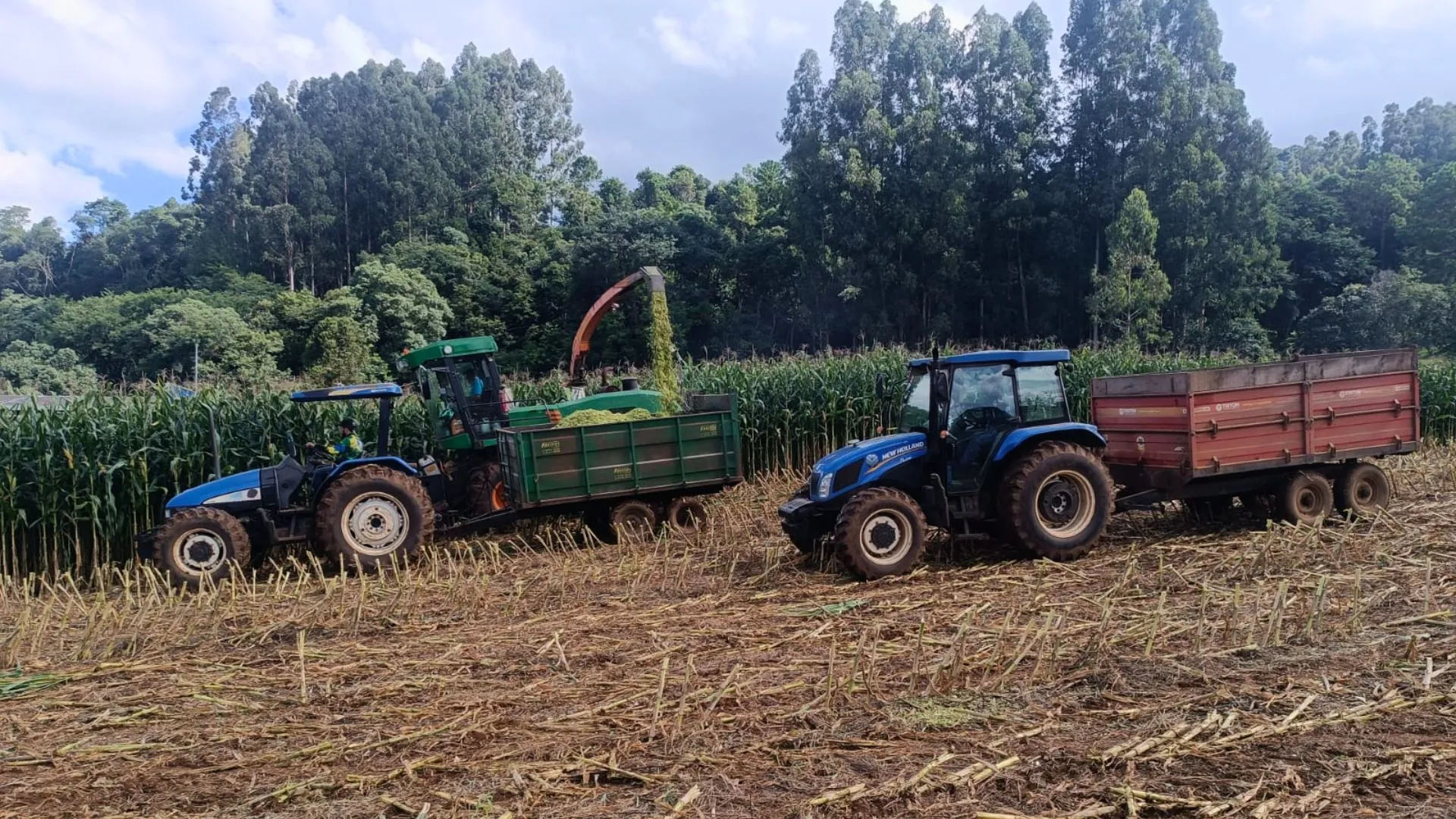 Parceria entre Prefeitura e produtores garante safra recorde de silagem em Salto Veloso