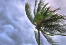 Previsão do tempo: terça-feira será de chuva e risco de temporais em SC