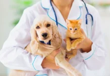 Rio das Antas realiza campanha gratuita de vacinação para cães e gatos