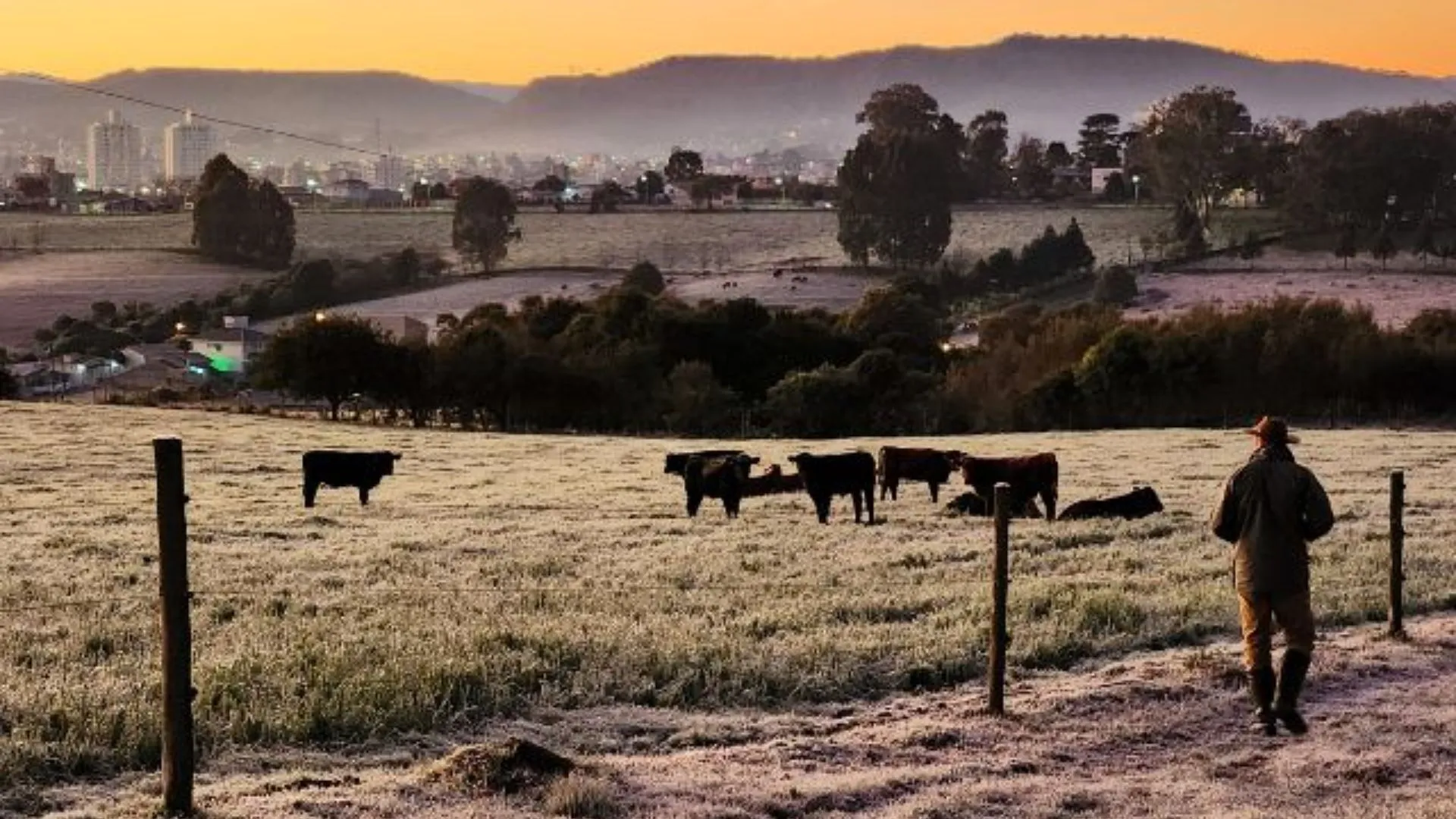 Epagri orienta produtores sobre cuidados com rebanhos e pastagens no inverno
