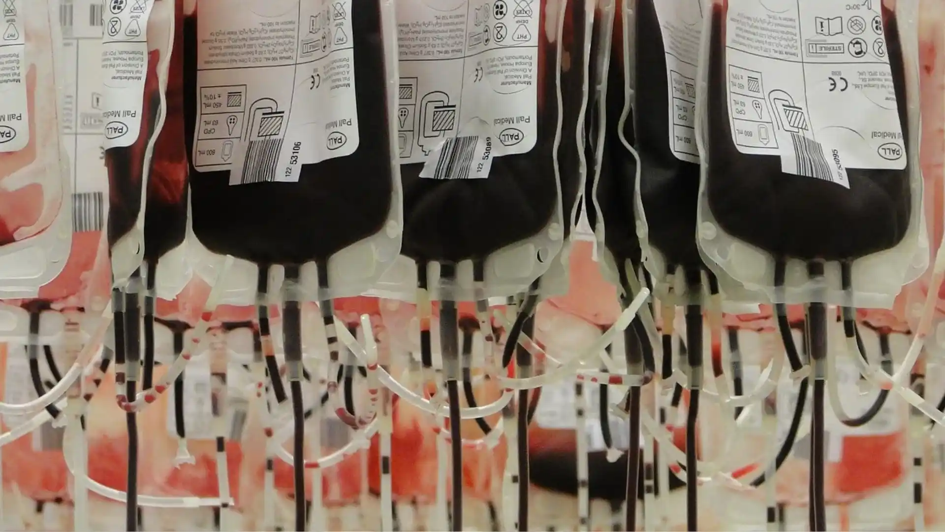 Estoques de sangue em Santa Catarina estão em baixa com a chegada do inverno de 2025