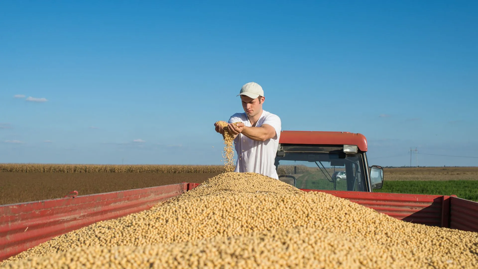 Fazenda de soja mais produtiva do Brasil está em Santa Catarina