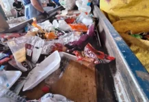 Separação do lixo em Videira: passo essencial para a preservação do meio ambiente