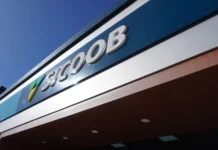 Sicoob Vale do Vinho reforça compromisso com a preservação ambiental no Meio-Oeste