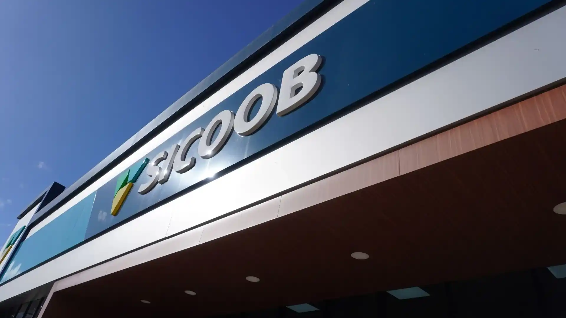 Sicoob Vale do Vinho reforça compromisso com a preservação ambiental no Meio-Oeste