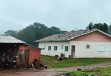 Videira declara situação de emergência após granizo atingir mais de 360 propriedades