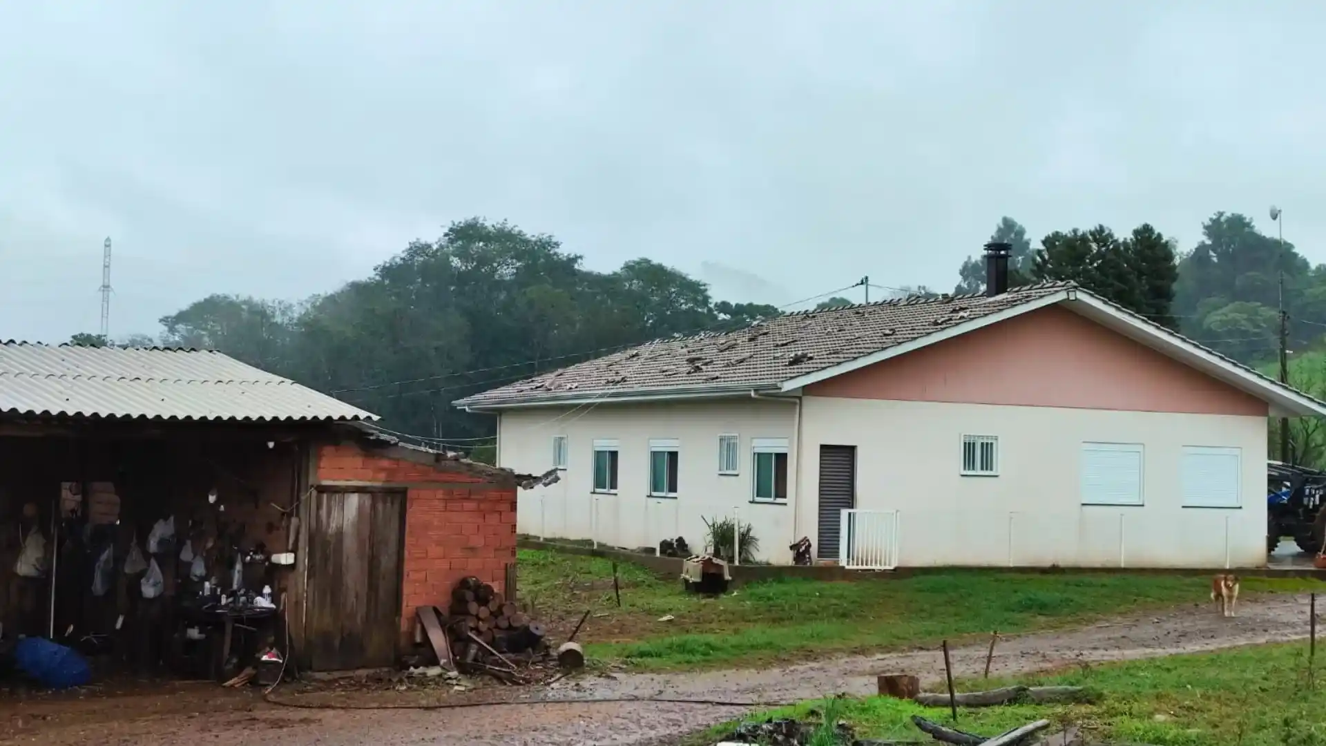 Videira declara situação de emergência após granizo atingir mais de 360 propriedades