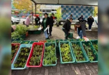 RBVerde 2025 bate recordes e mobiliza comunidades em 5 cidades