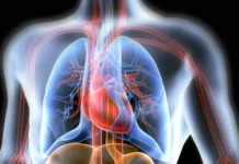 Seminário aborda como emoções podem causar doenças