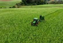 Kit Solo Saudável distribui sementes e fortalece a agricultura sustentável no estado