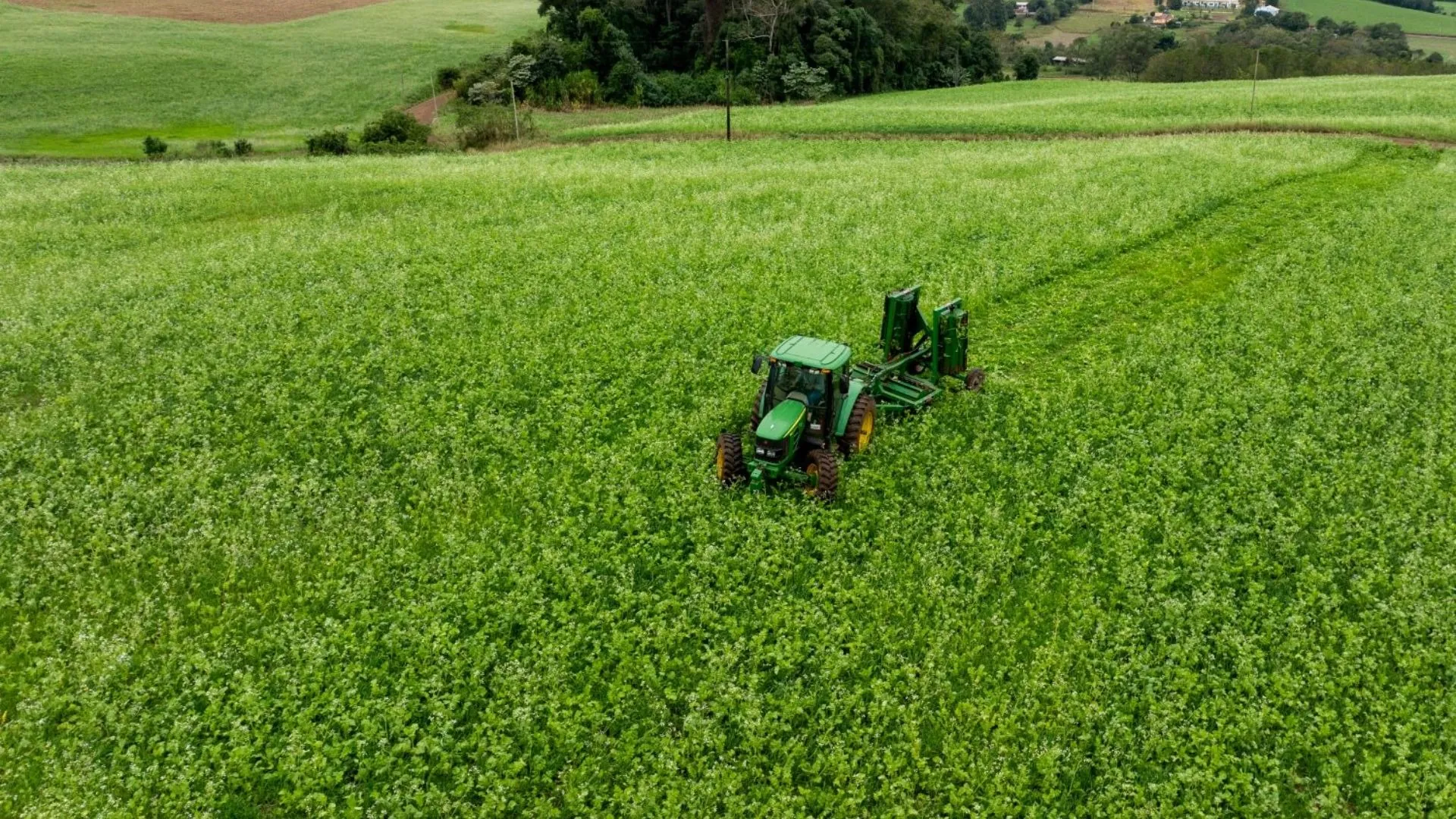 Kit Solo Saudável distribui sementes e fortalece a agricultura sustentável no estado