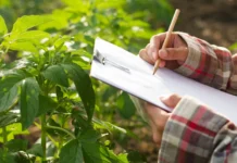 Governo de SC autoriza Epagri a convocar mais 149 aprovados em concurso