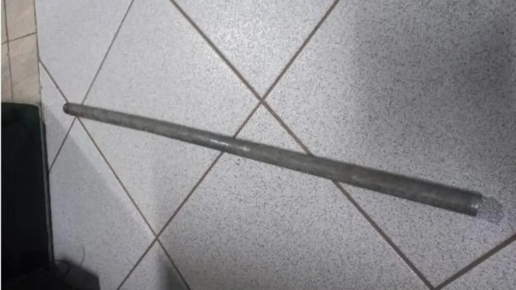Homem mata gatos com barra de ferro em Caçador