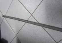 Homem mata gatos com barra de ferro em Caçador