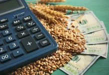 Governo Federal lança Plano Safra 2025/2026 com R$ 516 bilhões para fortalecer o agro brasileiro