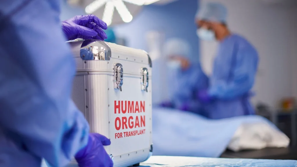Brasil bate recorde com mais de 30 mil transplantes realizados em 2024