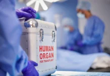 Brasil bate recorde com mais de 30 mil transplantes realizados em 2024