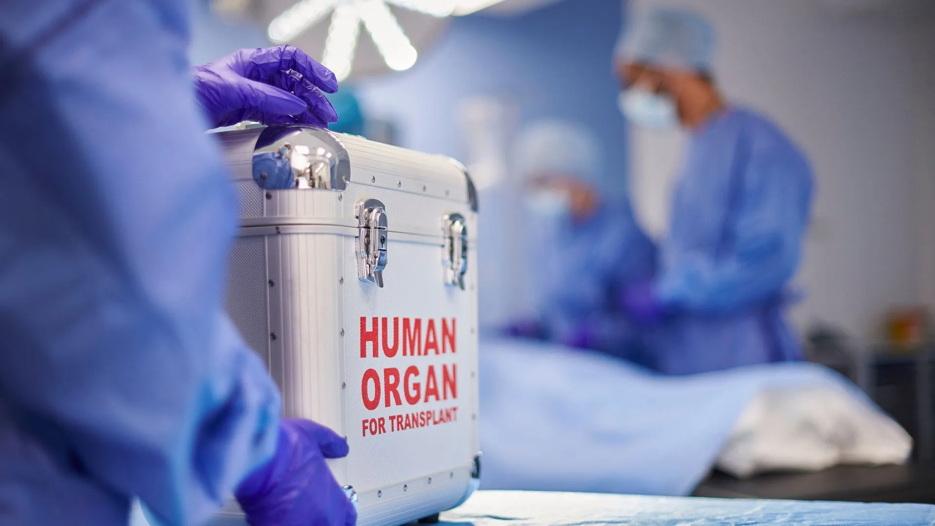 Brasil bate recorde com mais de 30 mil transplantes realizados em 2024