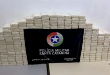Polícia Militar apreende mais de 850 kg de drogas em SC em menos de 24h