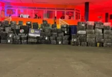 Maior apreensão de maconha do ano em SC acontece em Joaçaba e Campos Novos