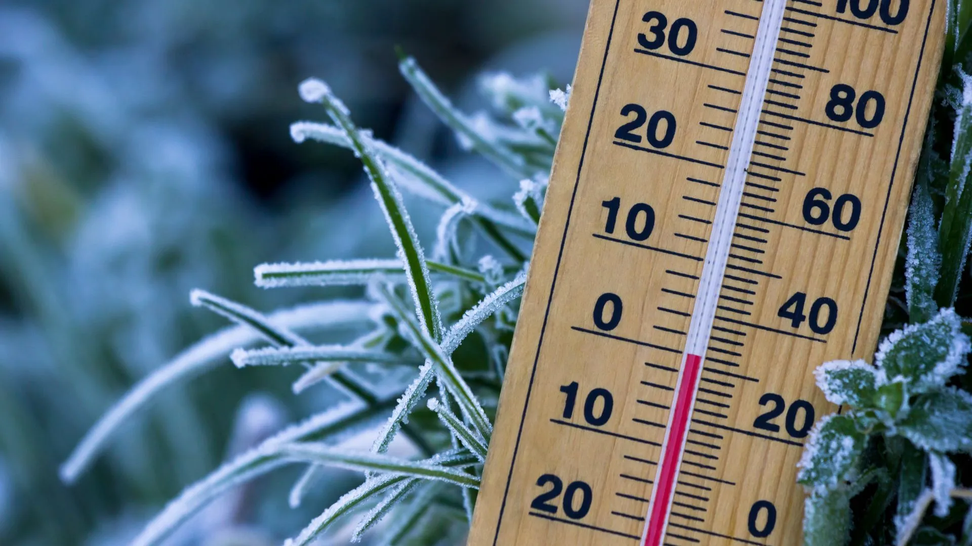 Santa Catarina registra -8,1°C e enfrenta manhã mais fria do ano