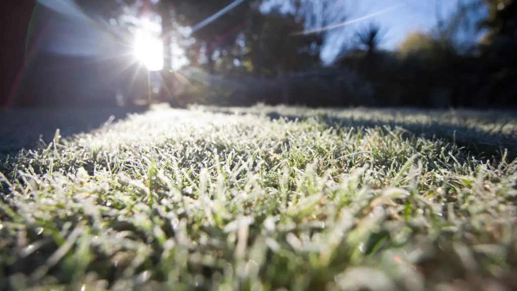 Primeira geada do ano cobre o Meio-Oeste de SC com temperaturas de até -2°C