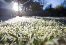 Primeira geada do ano cobre o Meio-Oeste de SC com temperaturas de até -2°C