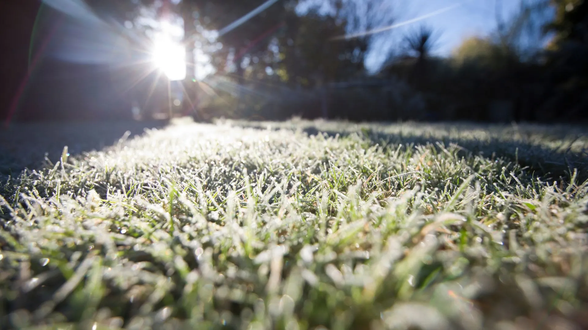 Primeira geada do ano cobre o Meio-Oeste de SC com temperaturas de até -2°C
