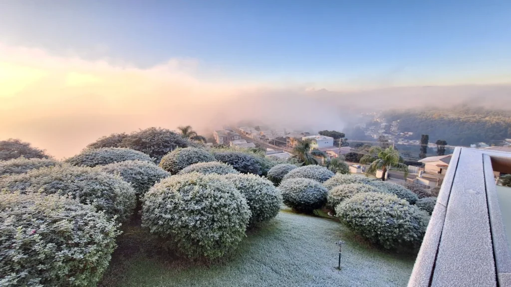 Geada cobre o Meio-Oeste de SC com temperaturas negativas nesta quarta-feira